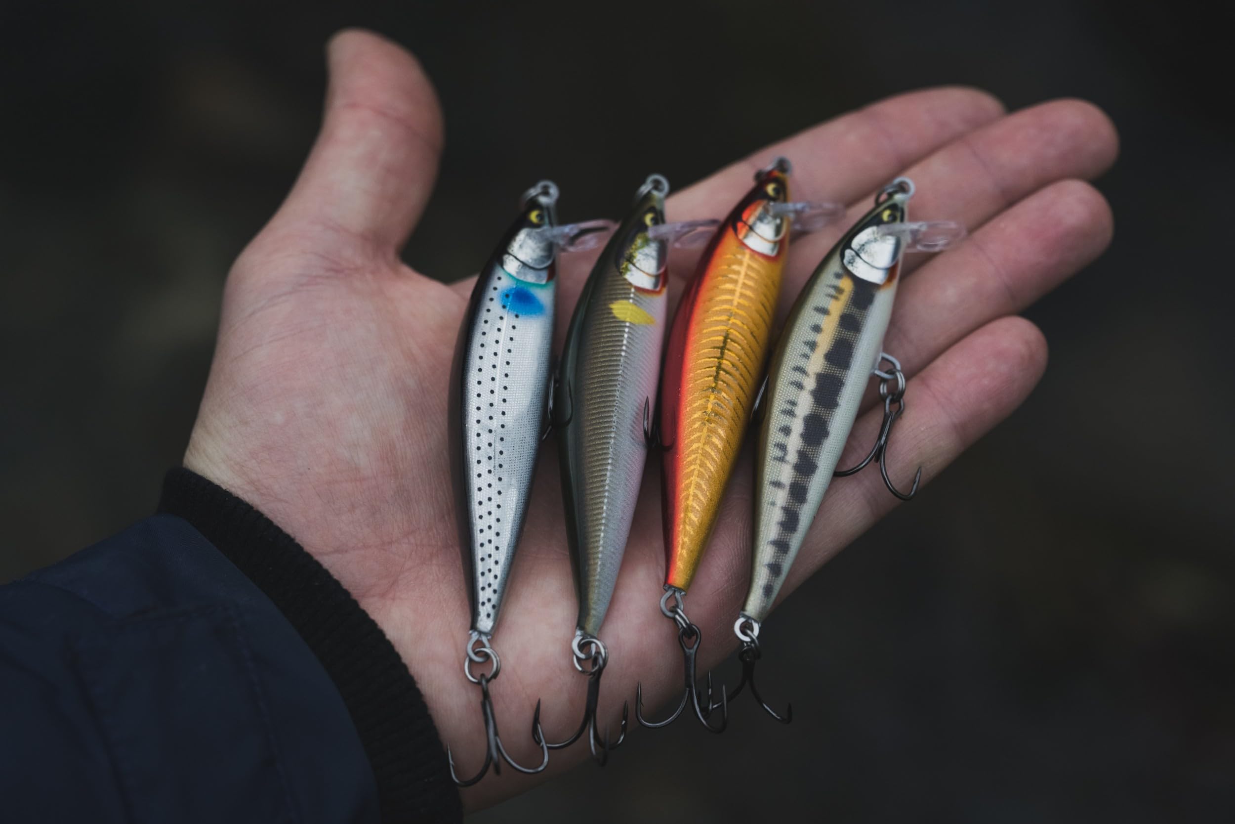 Amazon.com: Rapala Countdown Elite 3.7 inches (9.5 cm) Ayu Fishing
